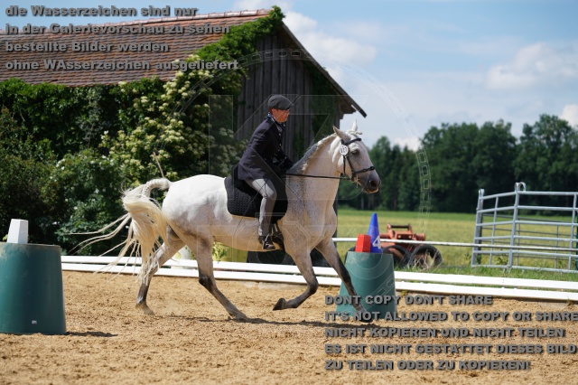 s_K3F04686.JPG